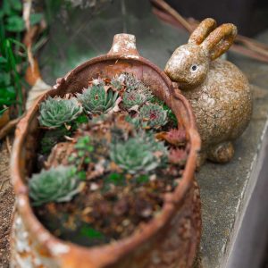 Photo-10