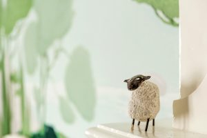 Photo-13